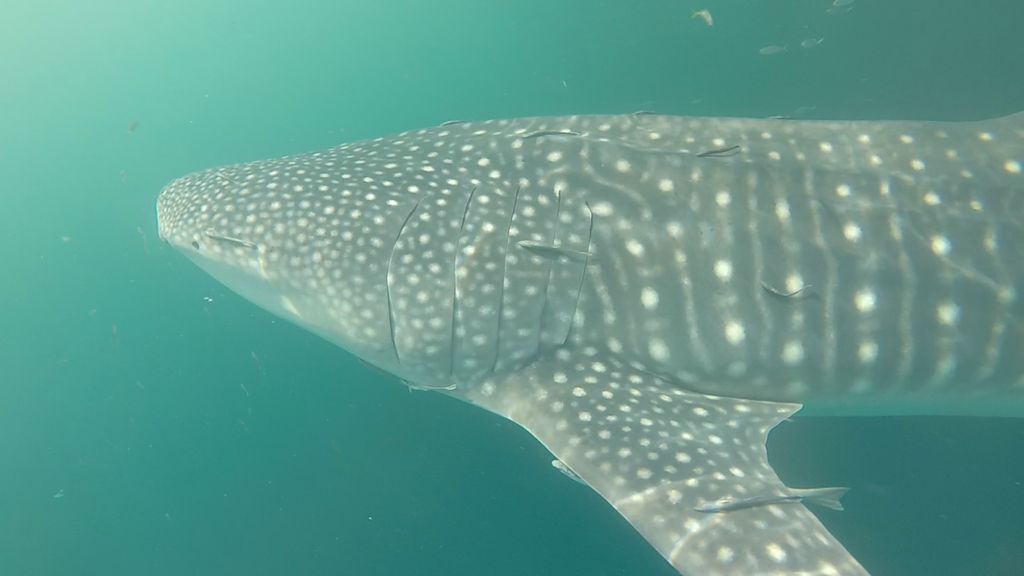 34c0f820-f3b3-4623-a5ae-0b29fda19363