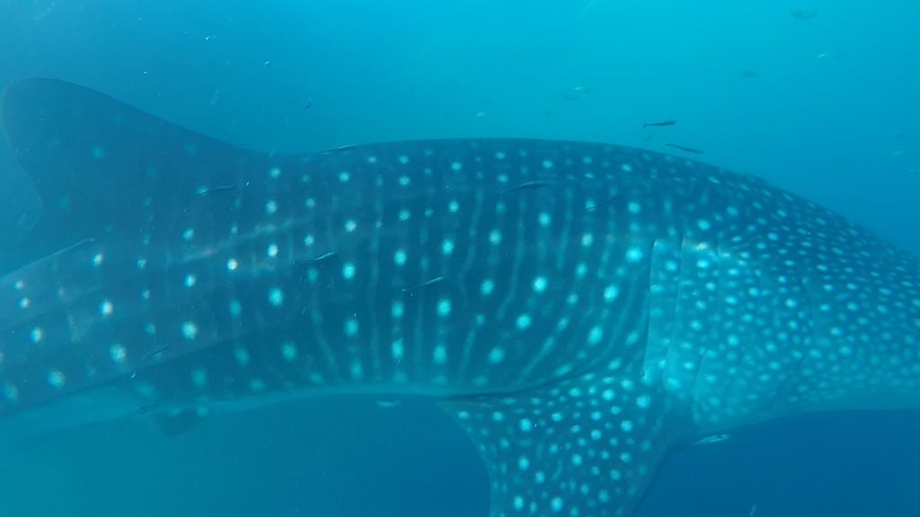 34c0f820-f3b3-4623-a5ae-0b29fda19363