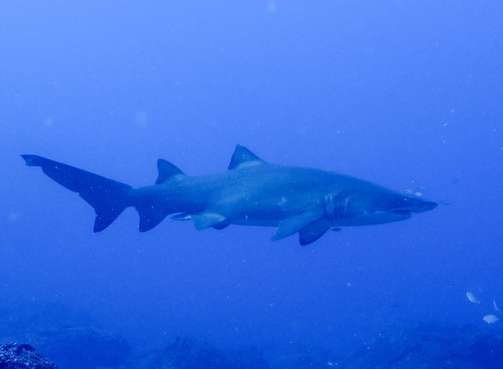 c146b4ac-6188-48c4-91d7-2f90f2ac6c19