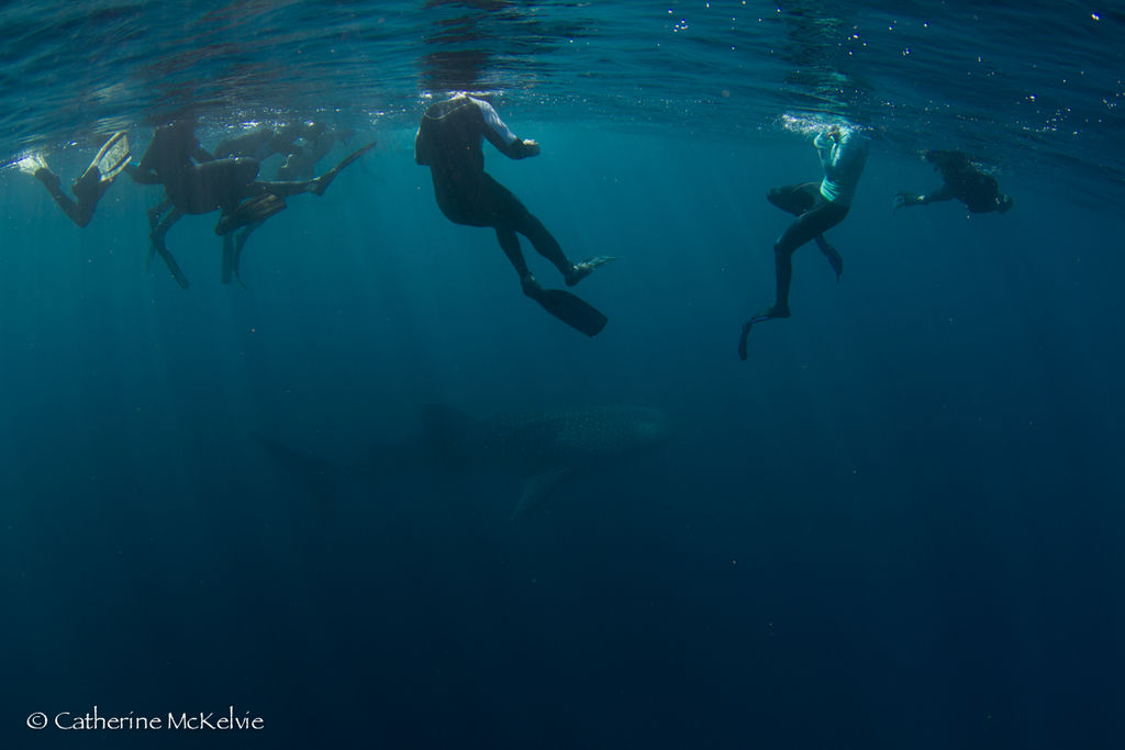 49545054-3d0e-4a2b-92e7-0b69b7610ec5