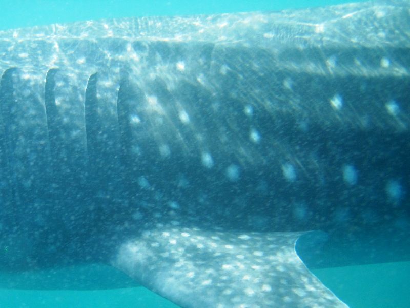 b96cec61-4149-4122-95e3-935b6ab99f28