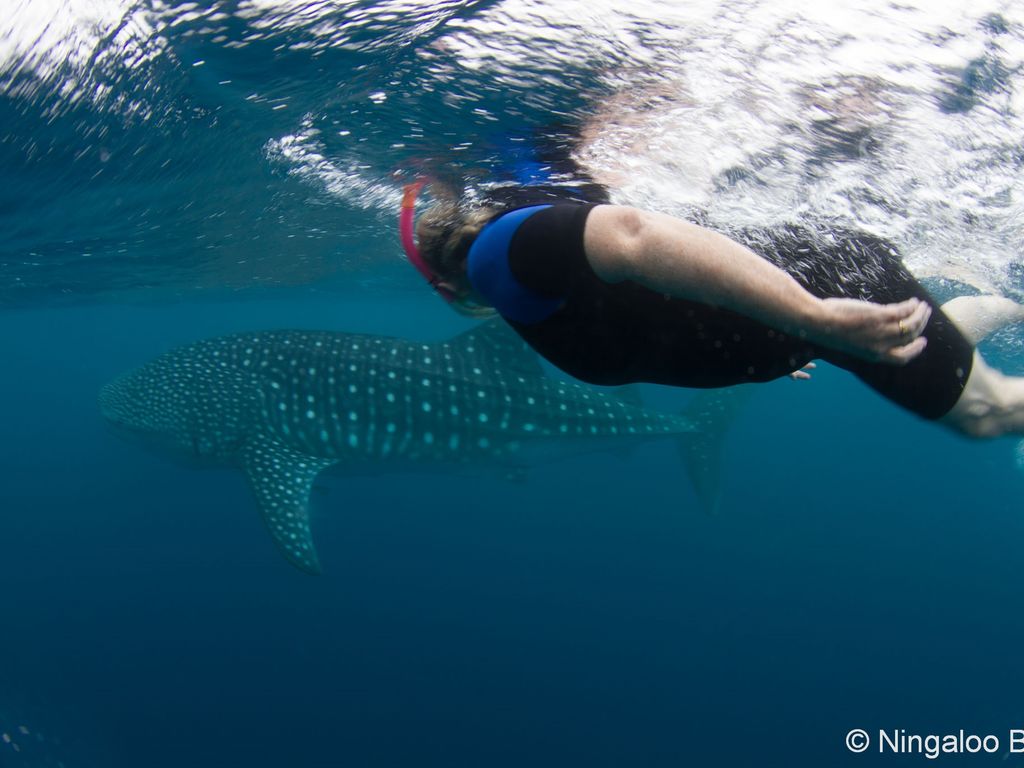 1c9dcca0-46c1-4dc7-9bae-698855ee4c9a