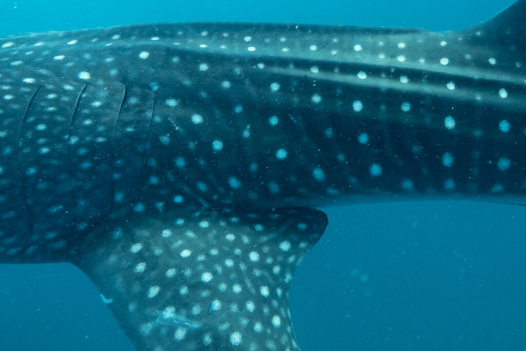 2cc968d7-3098-4a58-a012-f946423a5ee5