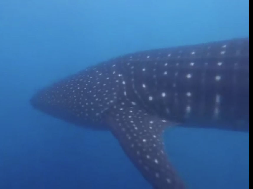 08f8931a-7690-49df-97d5-e10f8e457873