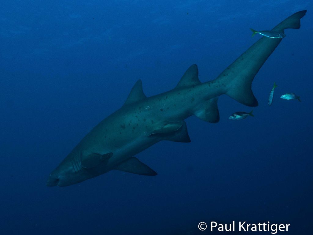 1a8a636c-eb7e-4684-bae2-bc4e93c7f9d9