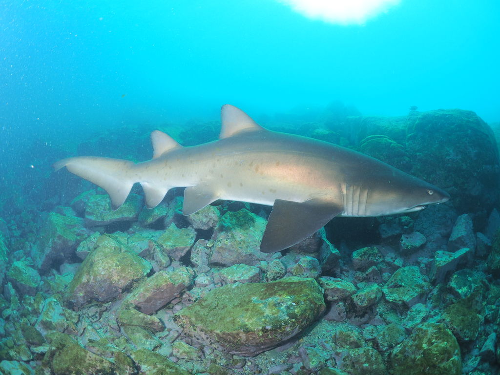 53612317-c837-4af7-a299-86df2867ad1f