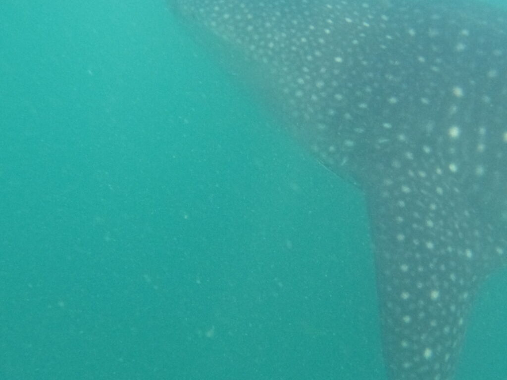 01e73195-db96-4312-aba8-9fc8004d289e