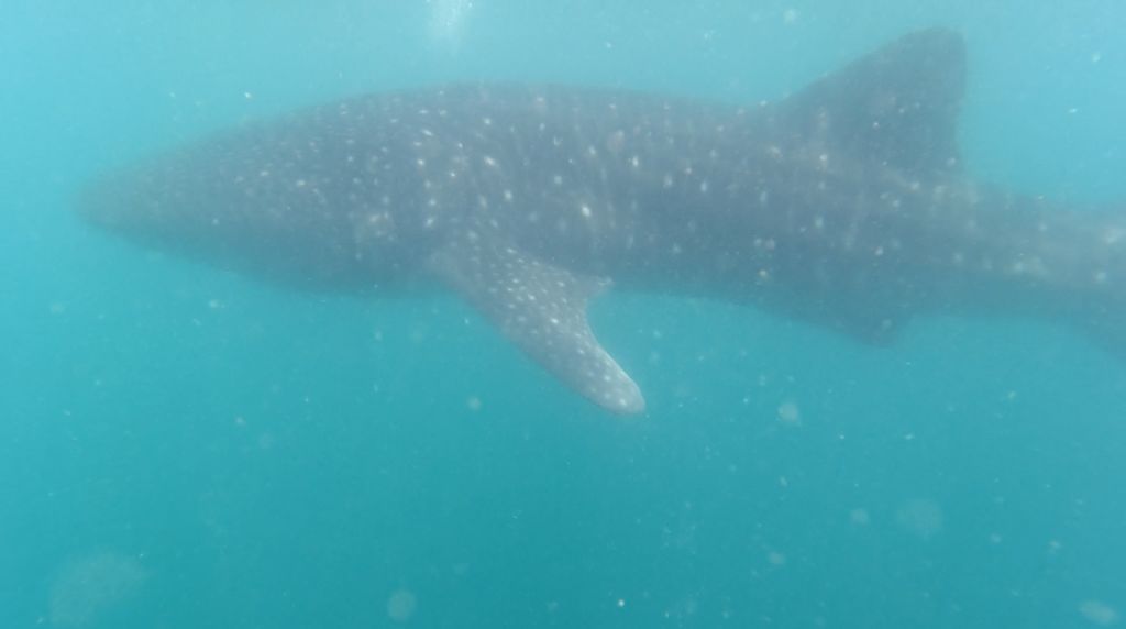 fcd22a07-5b9a-48e4-89a5-8f7dbb18bf6a