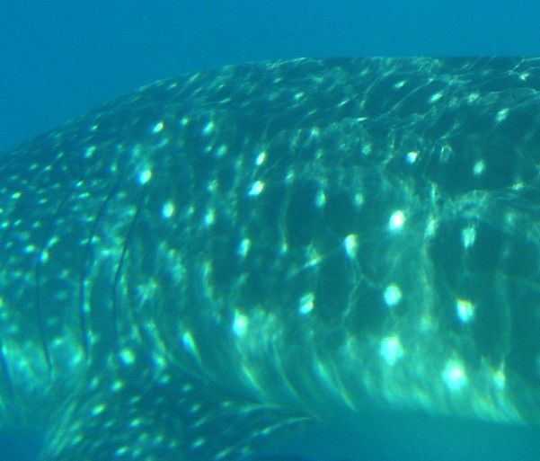 39f4430b-244c-47f0-a8bf-212635b47ca0