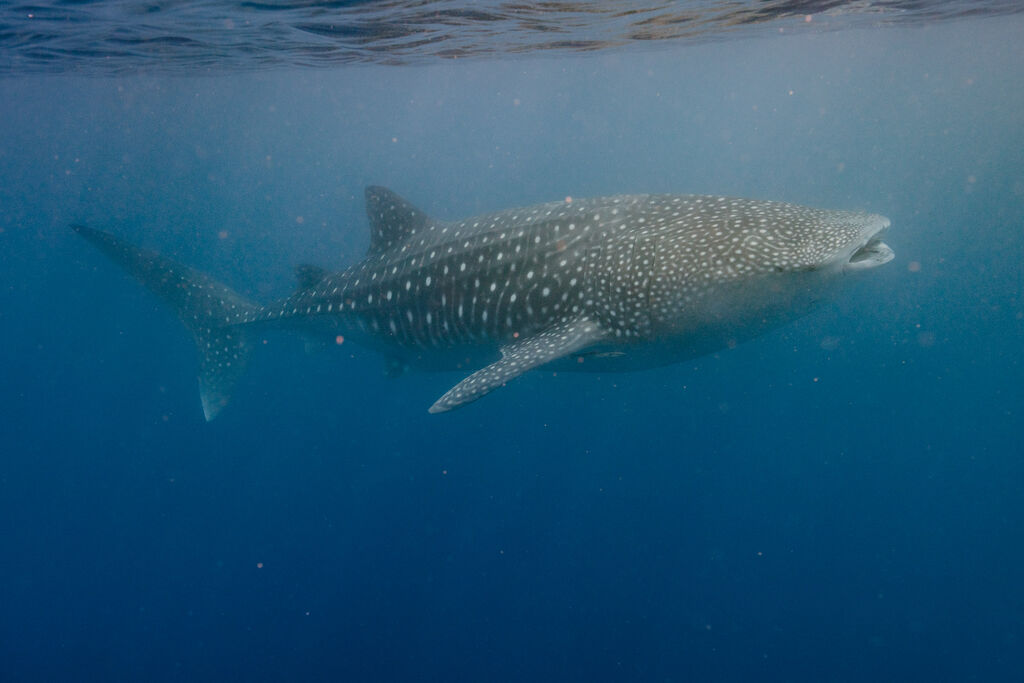 c72ca4da-5ccc-4be2-a1c7-4e1a7532884a