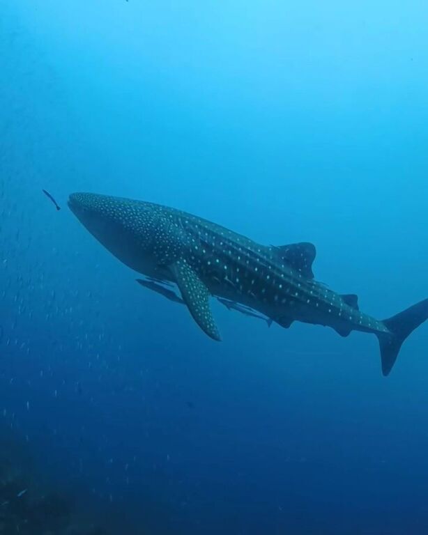 01639293-bcfe-4525-9a83-2d422a5d8174