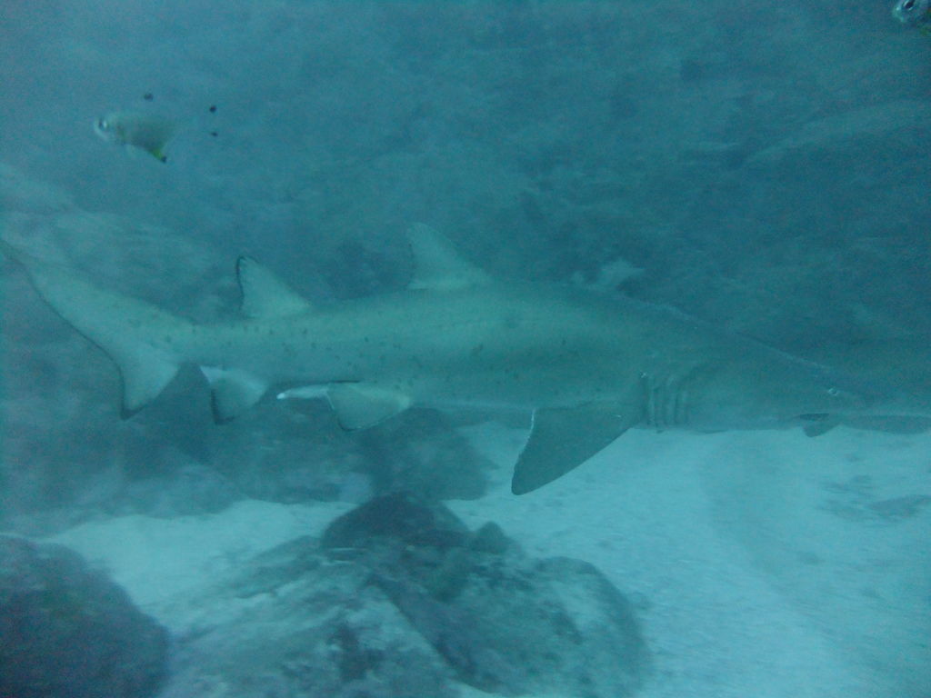 b0d7babf-ba59-4dd3-a672-0861787e0e0d