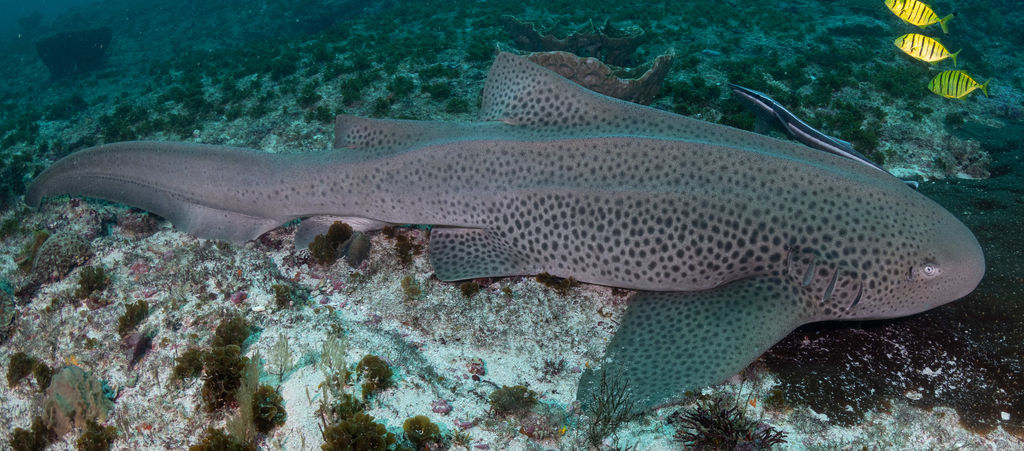 46de667d-9e59-4cd4-8aa4-a4901baf71ac