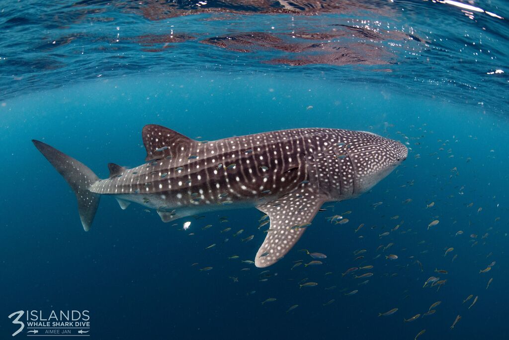 a8b779b7-45be-42b9-990d-179043f711a3