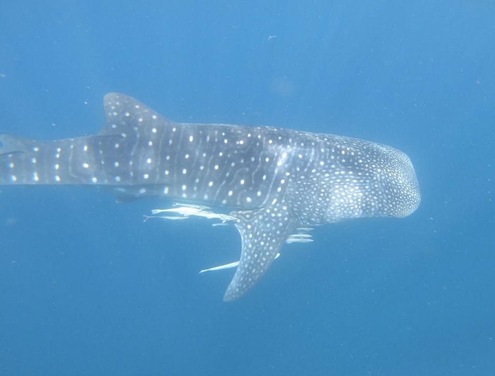 fafdf062-074c-4d9e-a2f4-0ccf1b925a9b