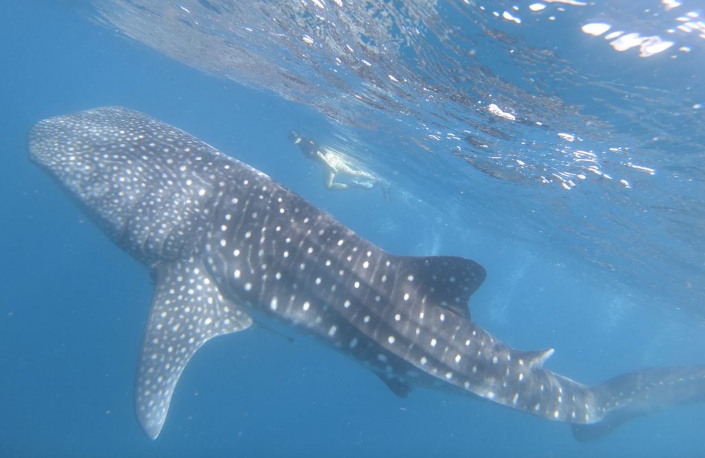 fafdf062-074c-4d9e-a2f4-0ccf1b925a9b