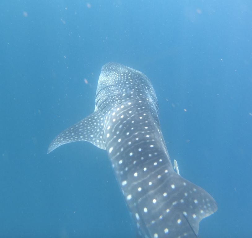 fafdf062-074c-4d9e-a2f4-0ccf1b925a9b