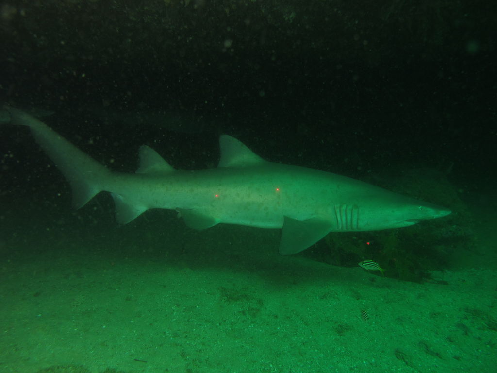 64b0f87e-7cca-405e-ae86-93ac62228e13