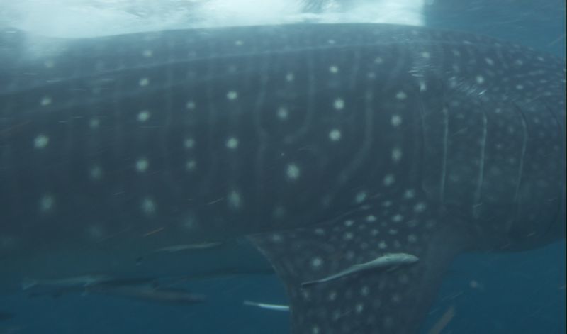 b8653c85-3c0a-45d9-980f-9e1a5bbcff30