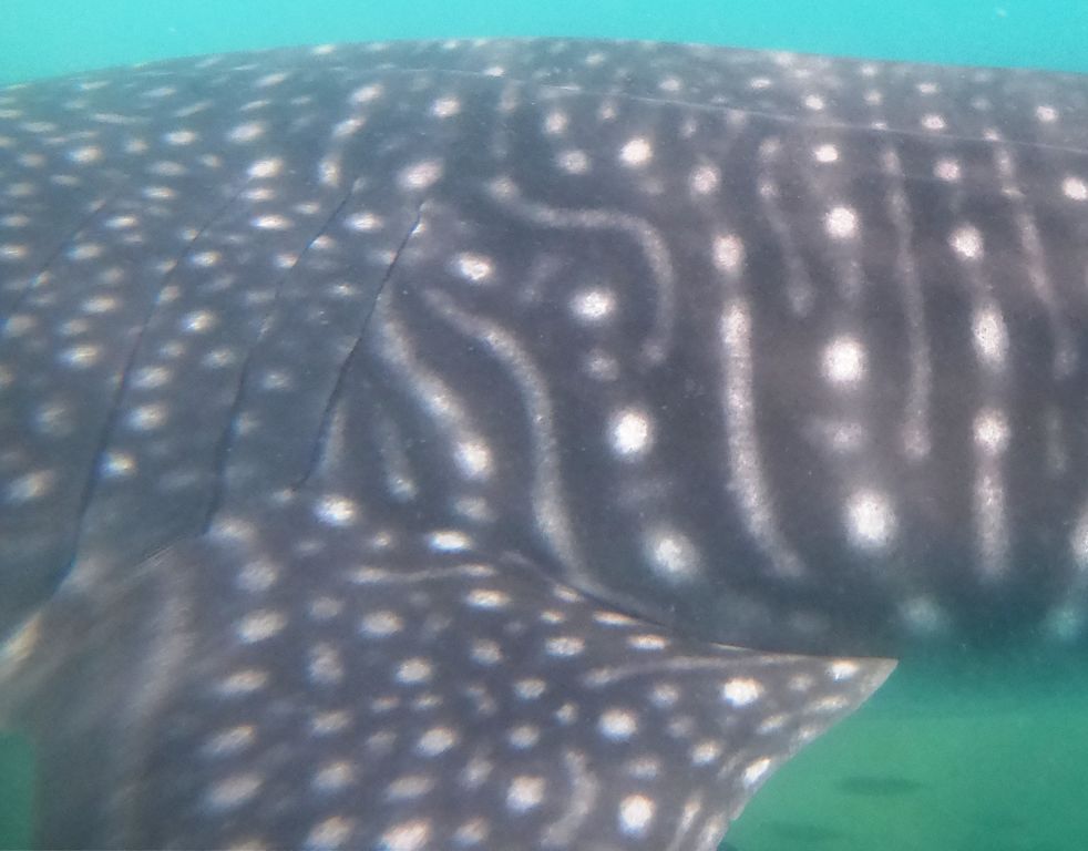 39c73da5-1e11-4fda-9d53-77273f6e23b7