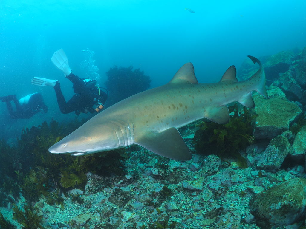 f074efd9-b786-4889-8afa-97b98703040e