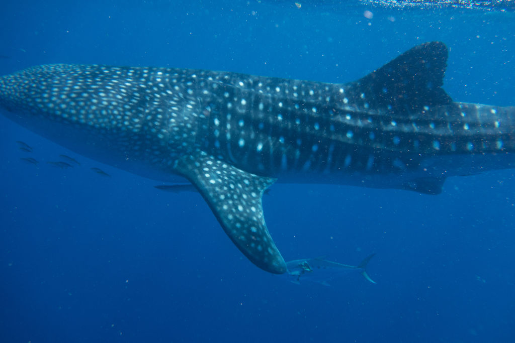 6bb32d94-255d-4ac9-af3e-84d88e031984