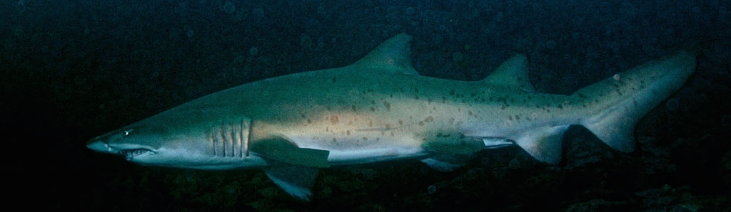 b96d567b-a404-47b5-8186-9cd6ef01ca3a