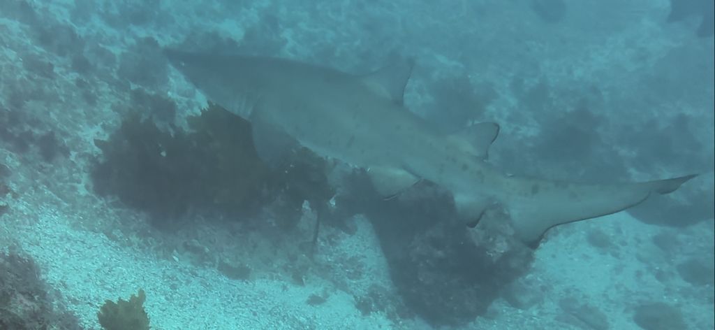 b747b3ea-ee8d-478f-b0d4-effeebab0f85