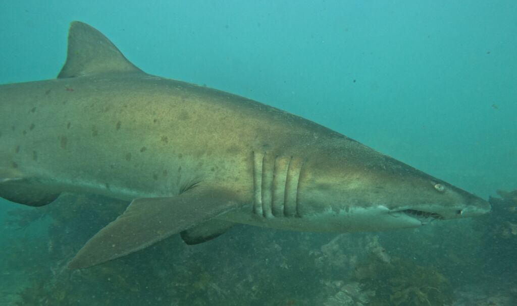 8443fb4b-92df-4af5-8553-412cc01dad7e