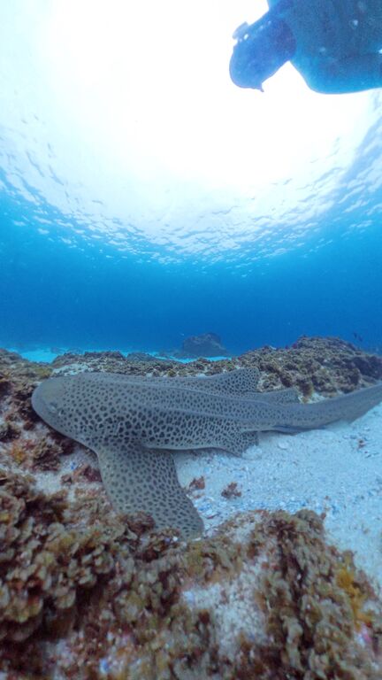 16a268de-b5ea-4dc1-96e8-4247635d0380