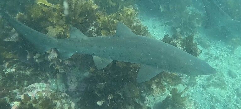 c7db21a1-9038-429c-9bd2-ee39ea572c4a