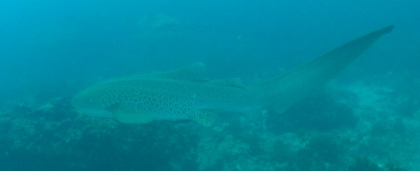 3f263a4f-863d-449a-8cba-0cce486d76f6