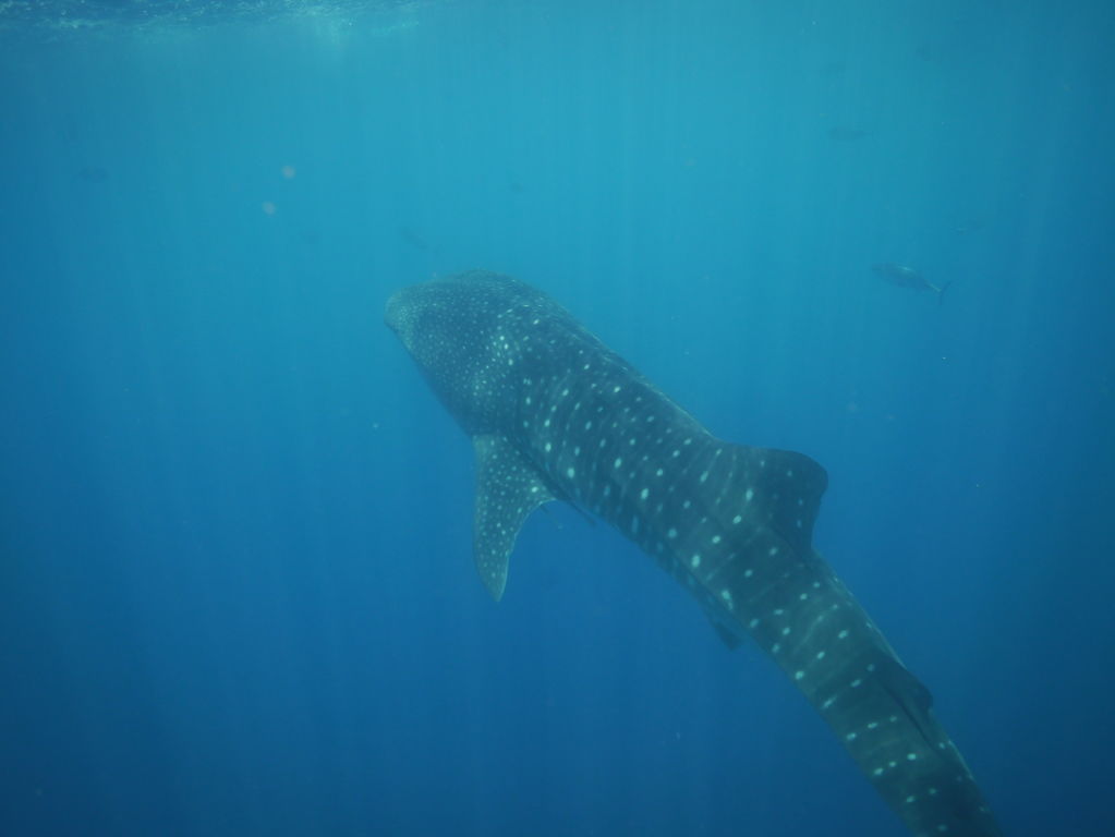 d3c8fcaf-9f49-40d8-87cc-d89b5ece73a6