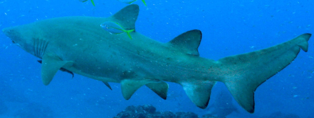 bc95eede-90b7-474c-9681-463159492dd9