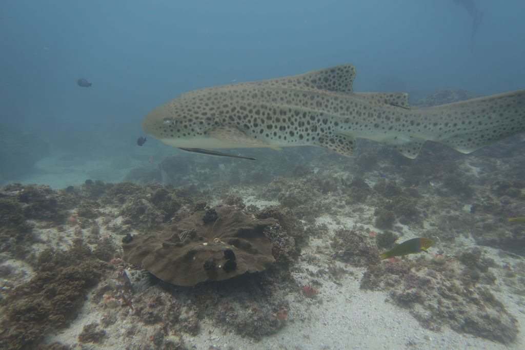 7a52b744-4df5-4e00-8d8f-352f05234c7b