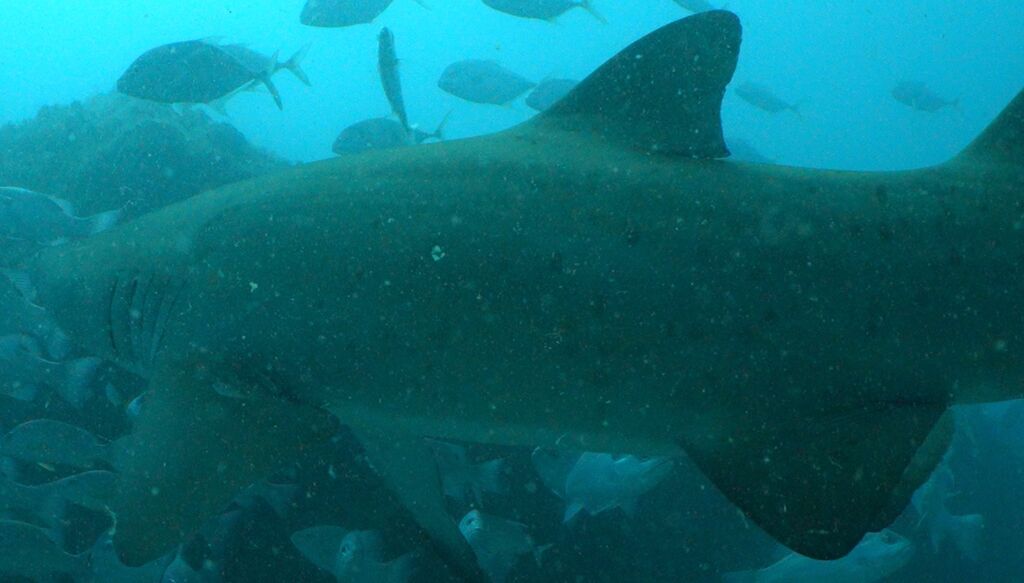 ec3d3636-cee4-4c1a-b366-dda0b8f3b512