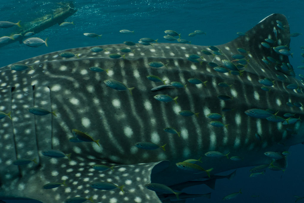 34c0f820-f3b3-4623-a5ae-0b29fda19363