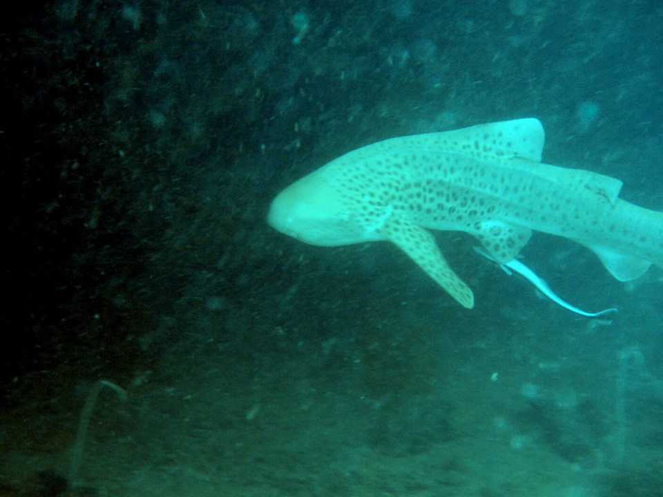 1e37fcf8-142c-4369-951d-8cac2ad7d6ea