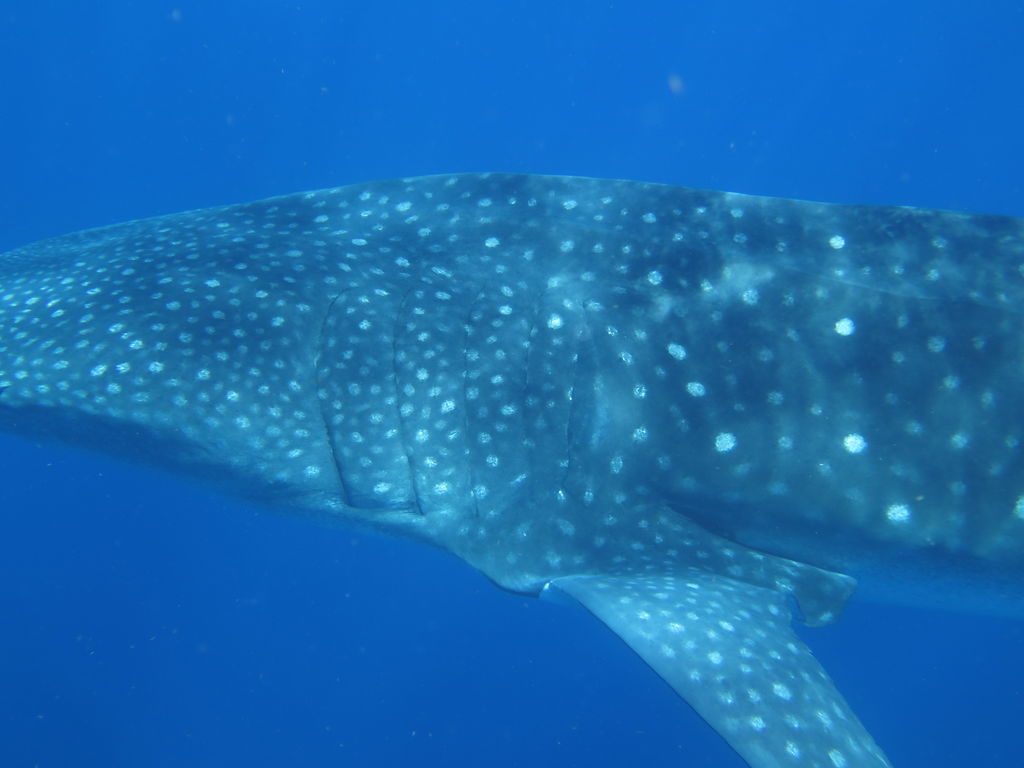 b0f14b74-47da-471e-ae0c-0bf8e5f1eb5f