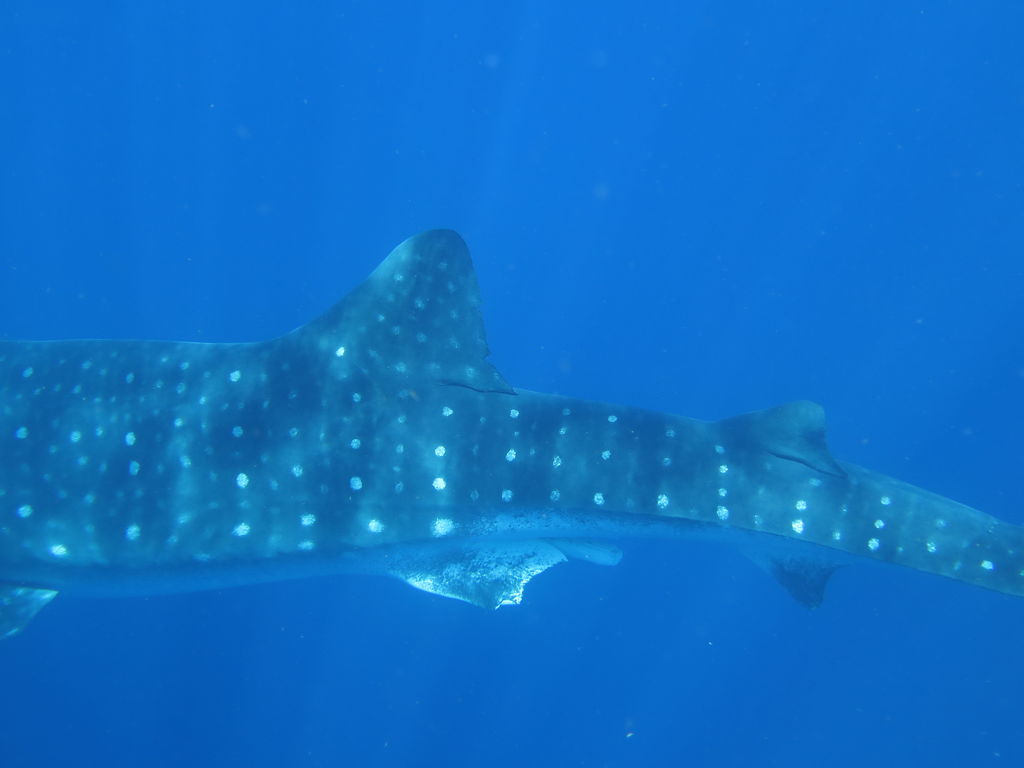 b0f14b74-47da-471e-ae0c-0bf8e5f1eb5f