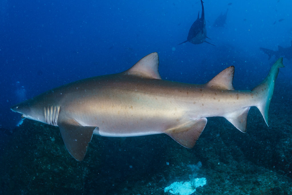 9bb9b923-eb2f-4d9f-9b8e-0a8e39c4c8ae