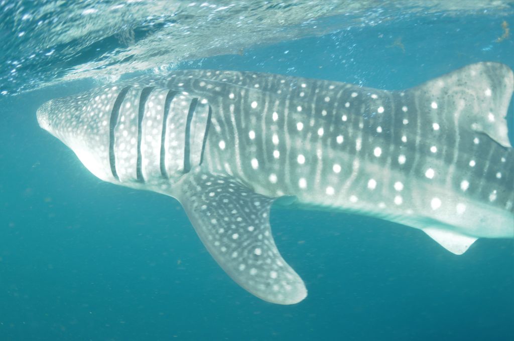 ae567d3b-7c7a-4195-9d61-f9f28b74a668