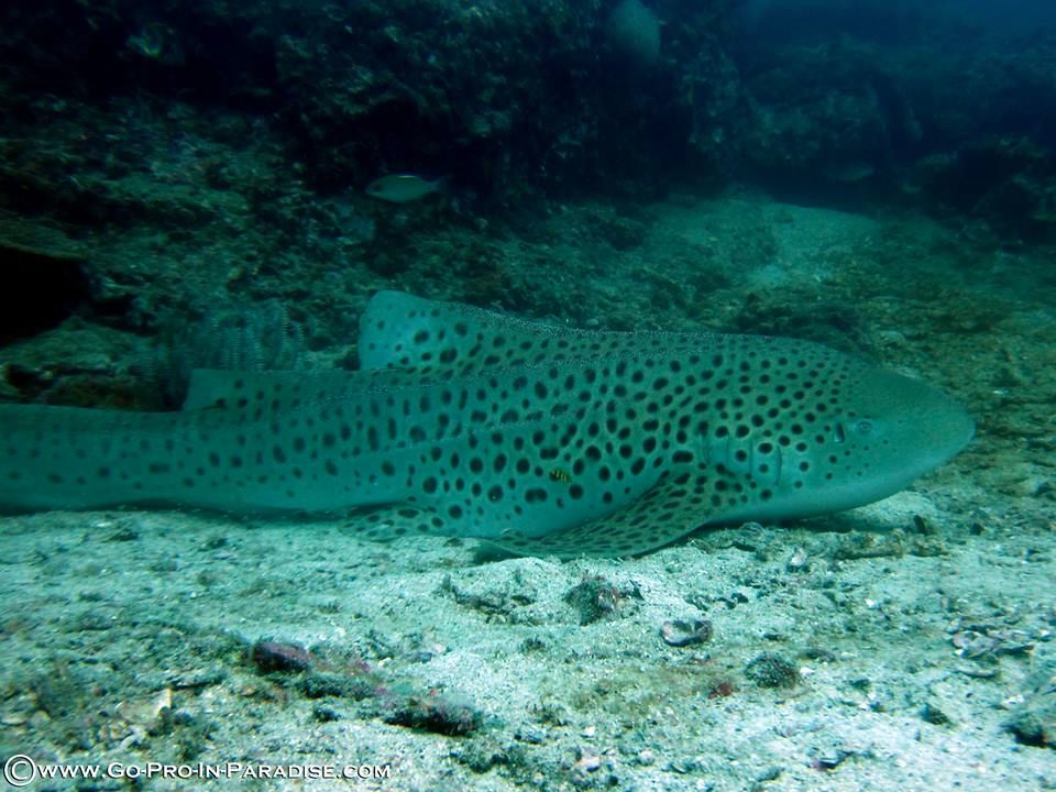 3b9f4e65-5bc8-4072-b181-f3f5d677cb39