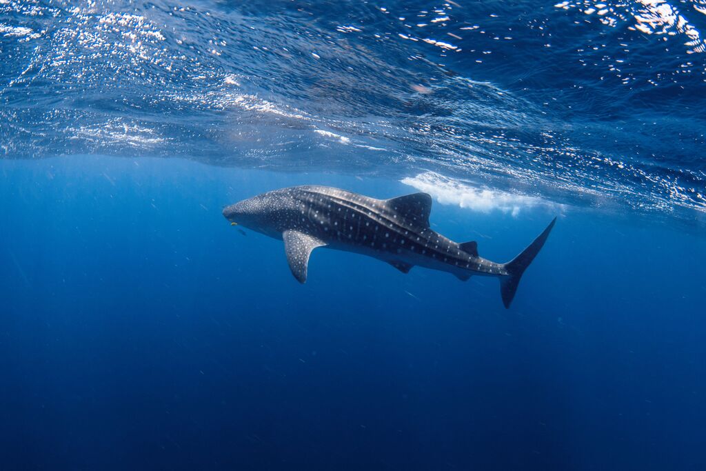 f9c87a22-e6a8-4df7-8d14-21f3133066df