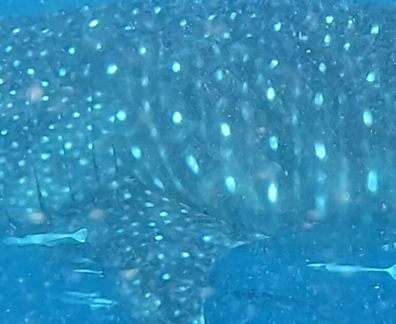 384c6294-7378-4a27-b698-b60e83ff855e