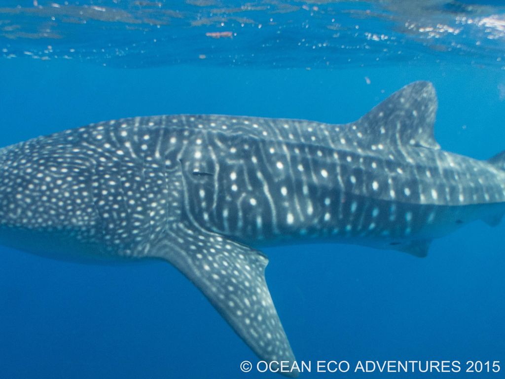 d85680b4-6617-4b04-8e26-d180823e5d00