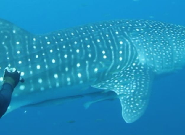 92c3835b-c219-4127-9525-854ca821c1ec