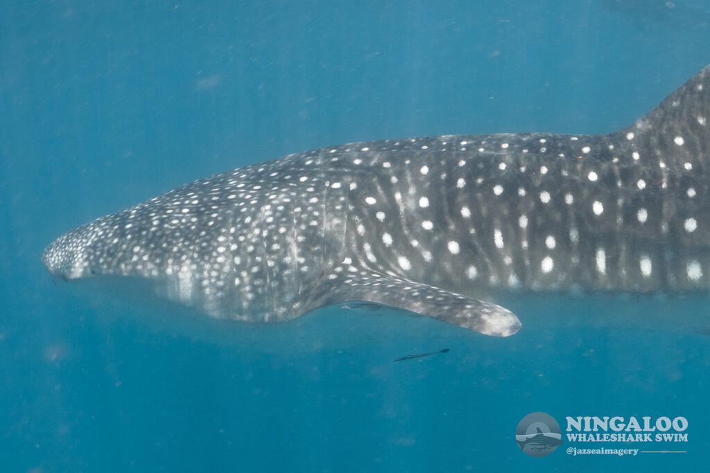 36d0a798-8c00-4f40-8089-5e0a59fa9312