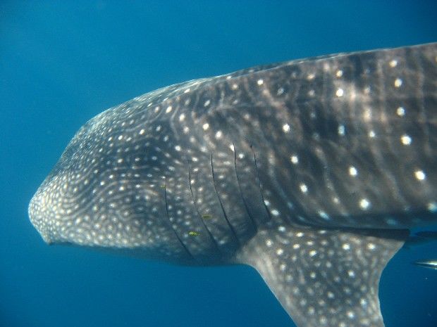 6680d1d6-354f-4c67-8497-4370b8cc14ae