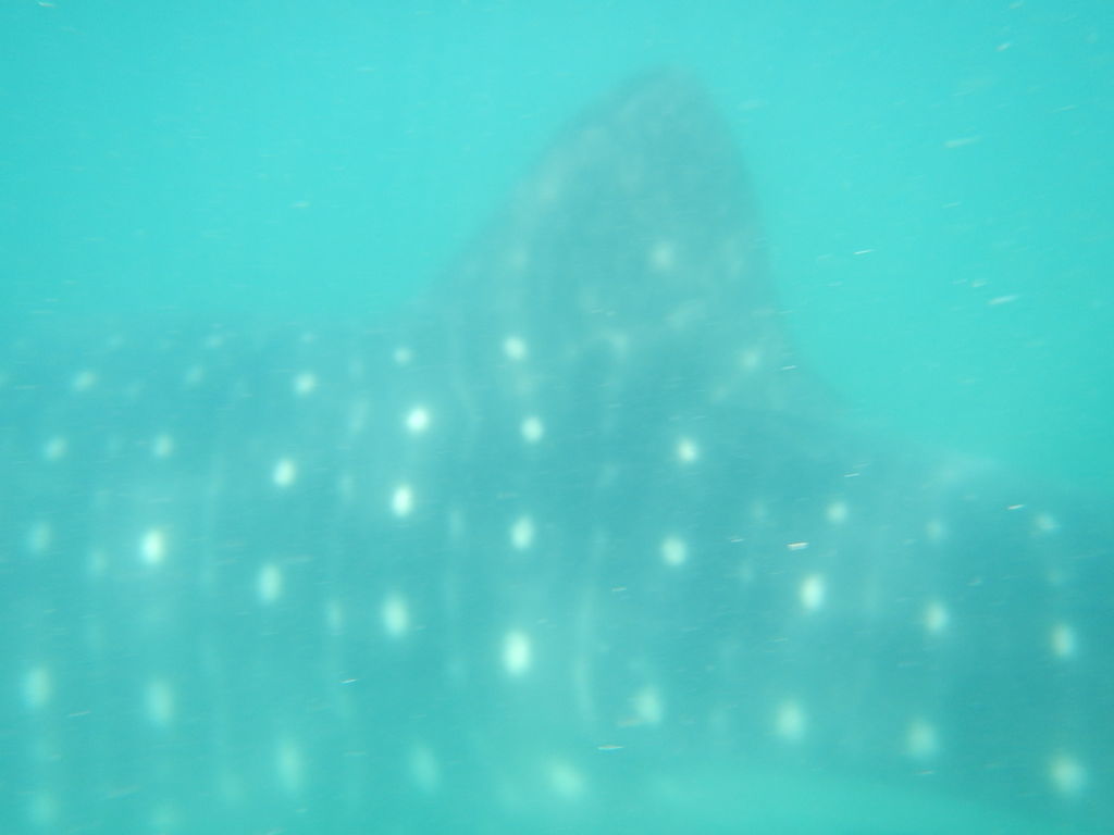 39dc6620-1eb5-4160-acaa-66c5130932a0